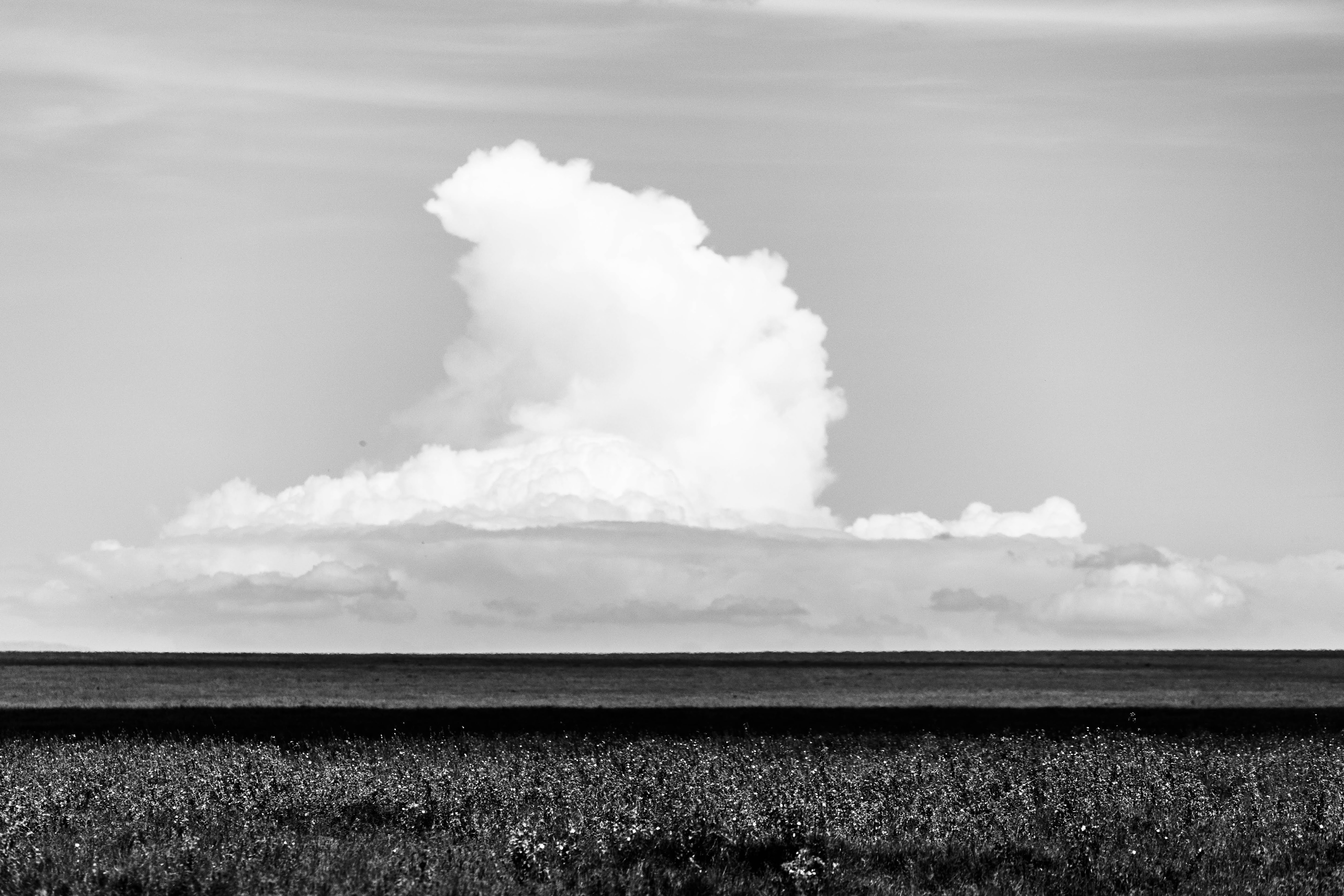 Noah Rothstein Photography