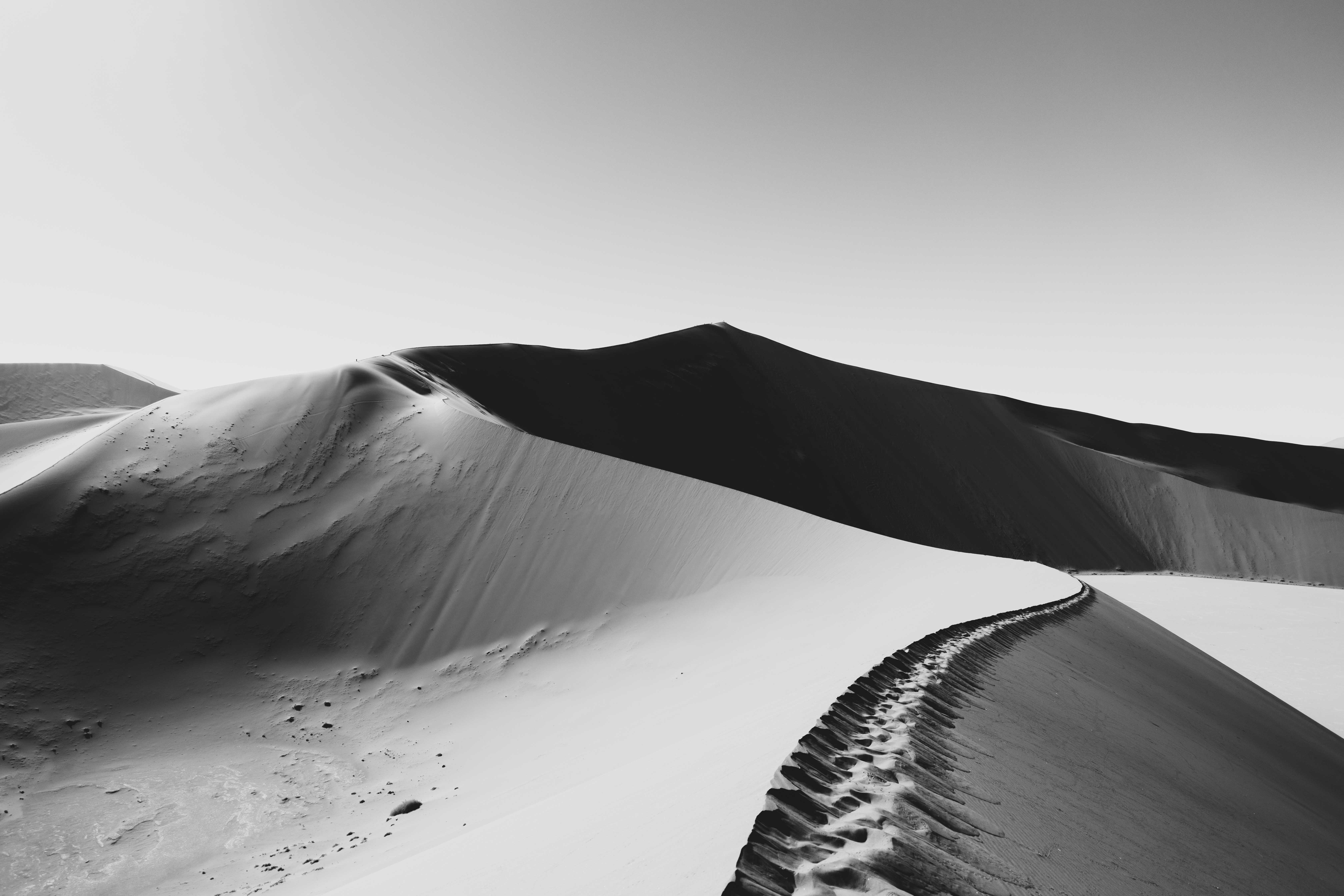 Noah Rothstein Photography